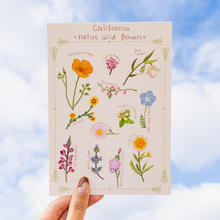 Load image into Gallery viewer, California Native Flowers Print