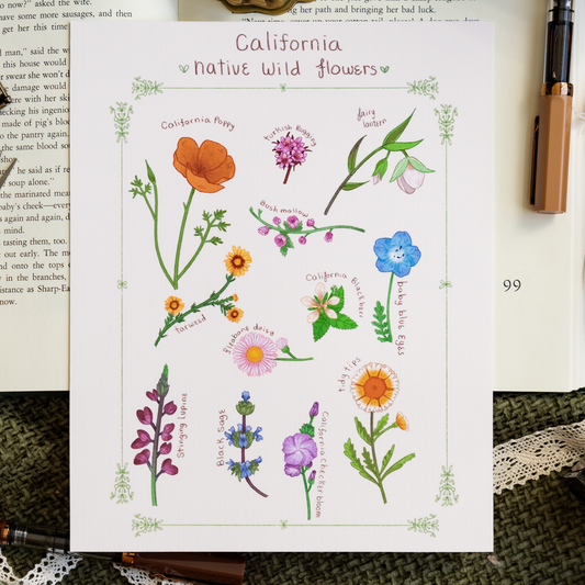 California Native Flowers 8x10 Large Print