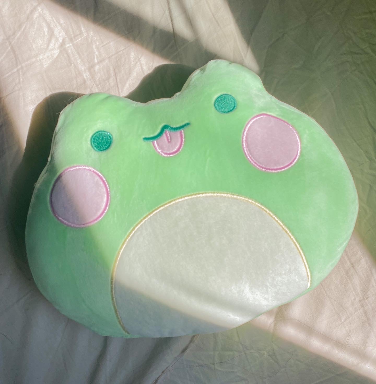 Large Frog Plushie