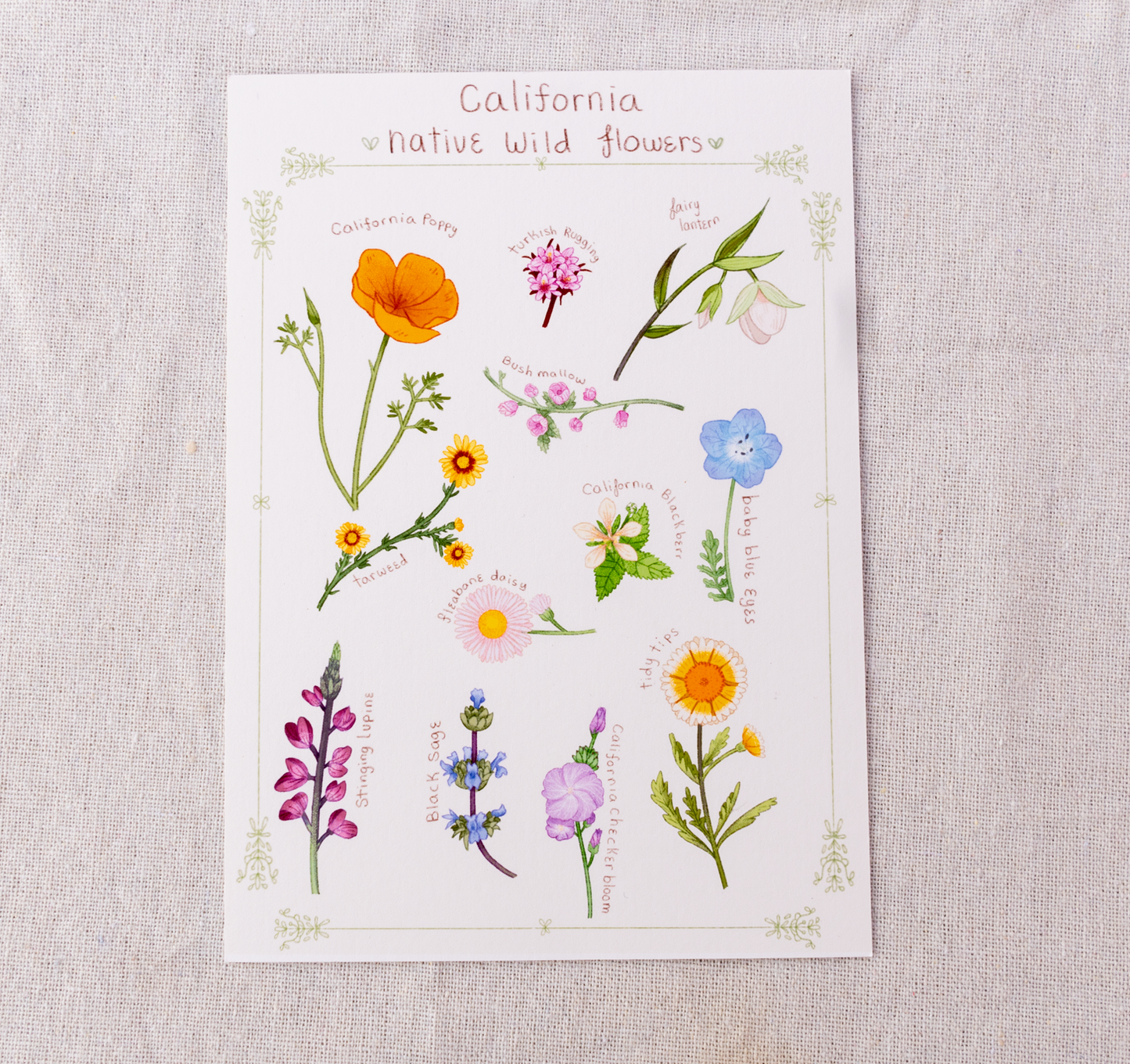 California Native Flowers Print
