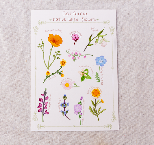 California Native Flowers Print