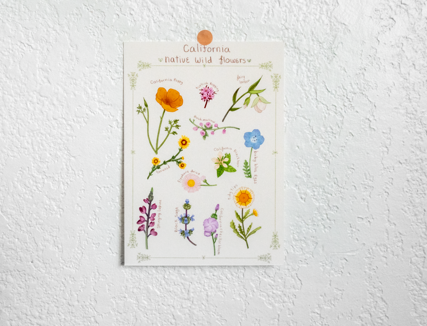 California Native Flowers Print