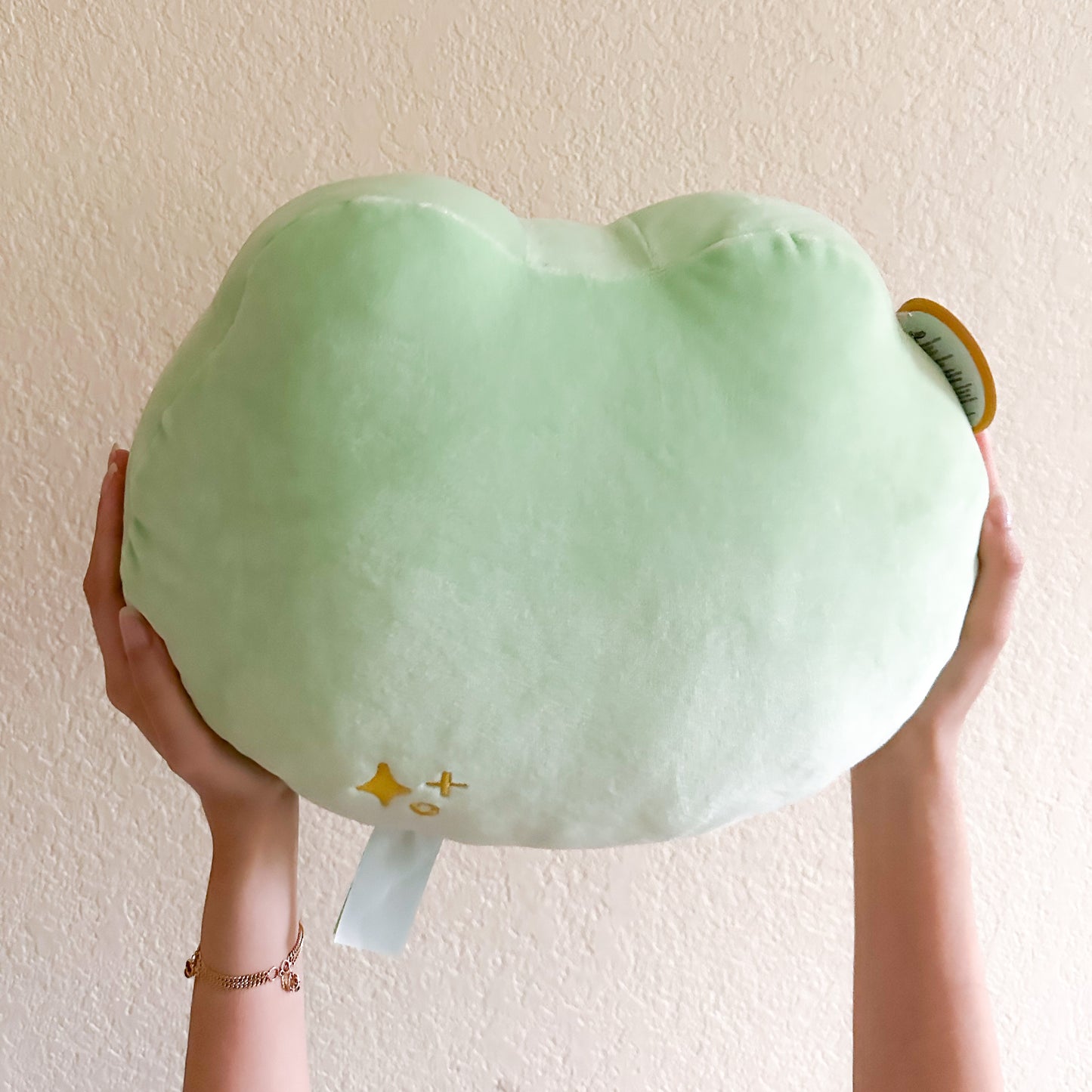 Large Frog Plushie