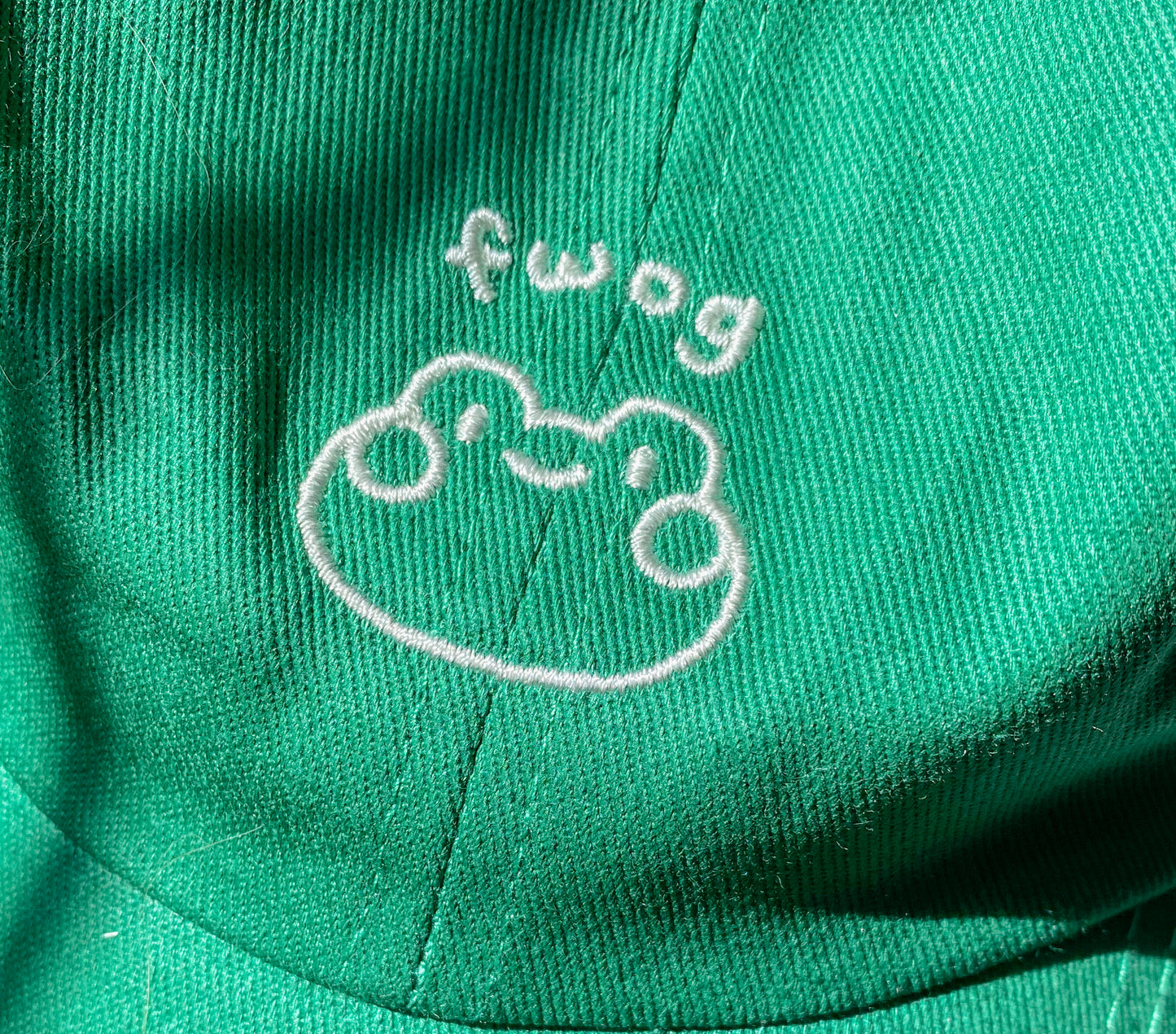 Fwoggy Dad Hat